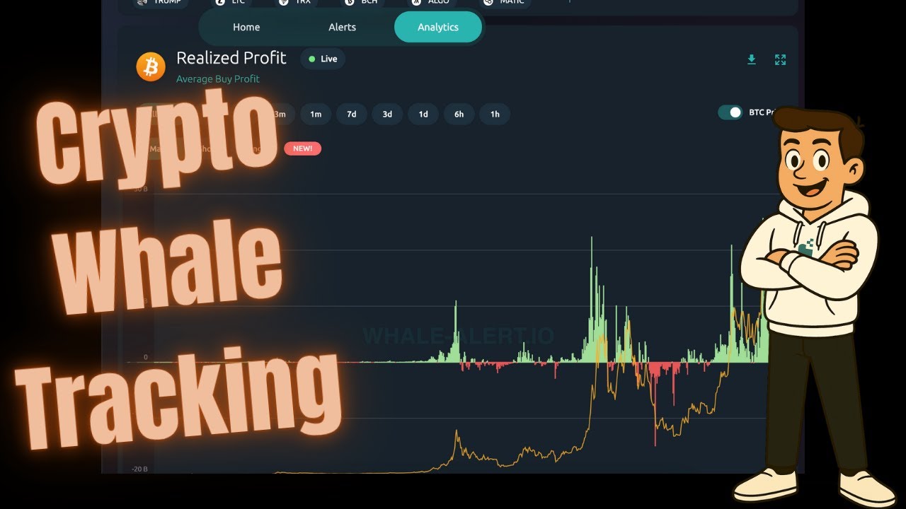 How to track Bitcoin Whales for Free