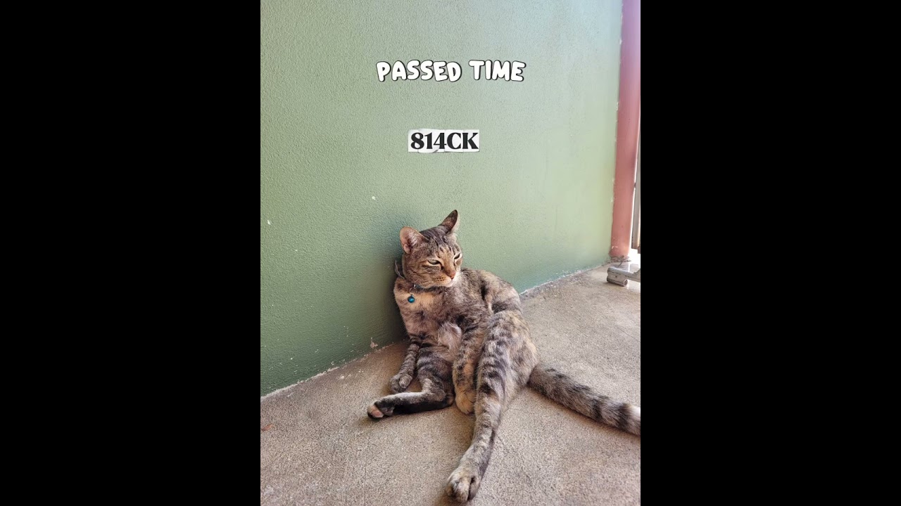 Passed time by 814CK