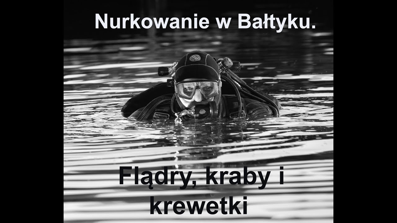 Jesienne nurkowanie w Bałtyku.