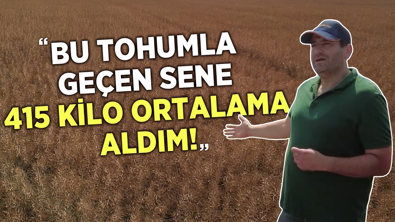 “Bu Tohumla Geçen Sene 415 Kilo Ortalama Aldım!” - Tarım Aktüel