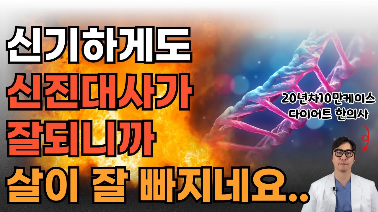 다이어트의 핵심!!신진대사량이 높아지면 굶지 않아도 살이 저절로 빠집니다. 제대로 살빼는 방법.