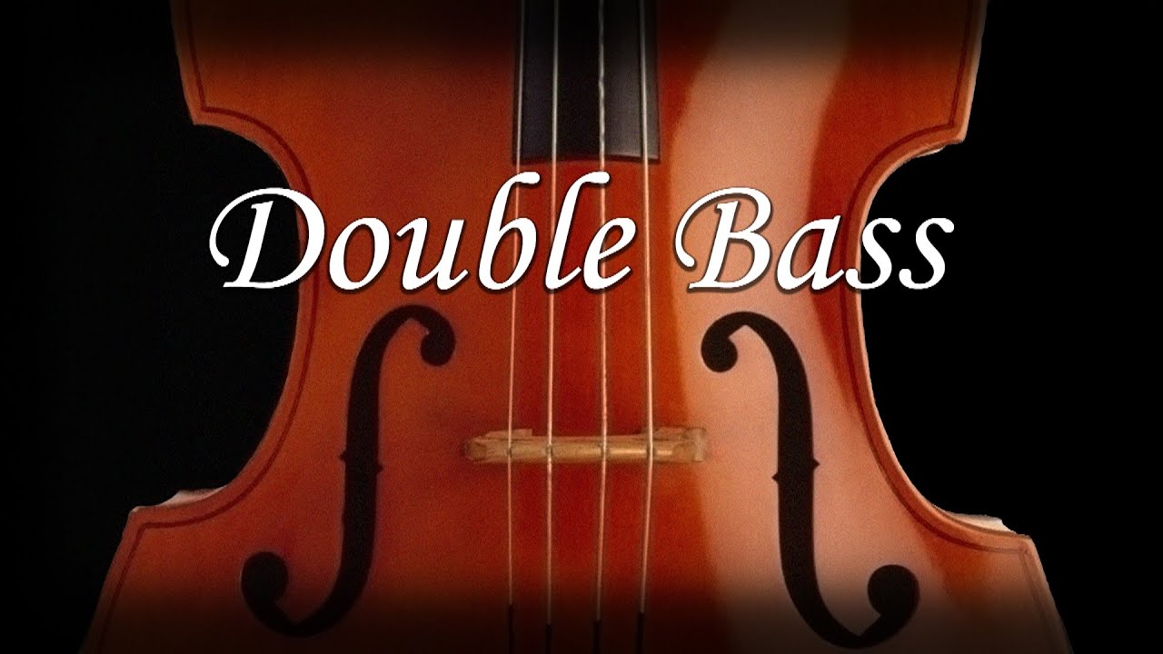 Double Bass Tuner : Easy to use - 