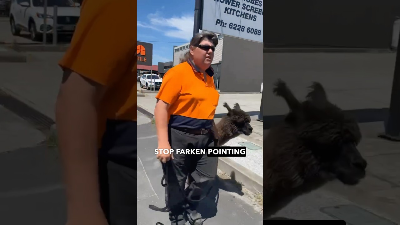 Most Aussie Interaction Ever (No Commentary Needed).