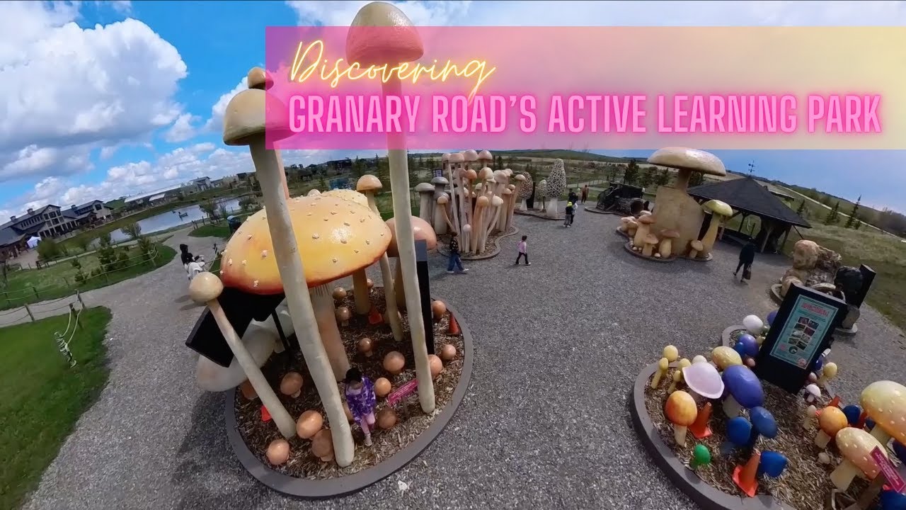 DISCOVERING GRANARY ROAD'S ACTIVE LEARNING CENTER