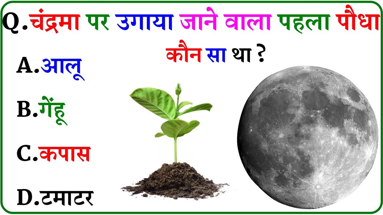 GK Question || GK In Hindi || GK Question and Answer || GK Quiz ||