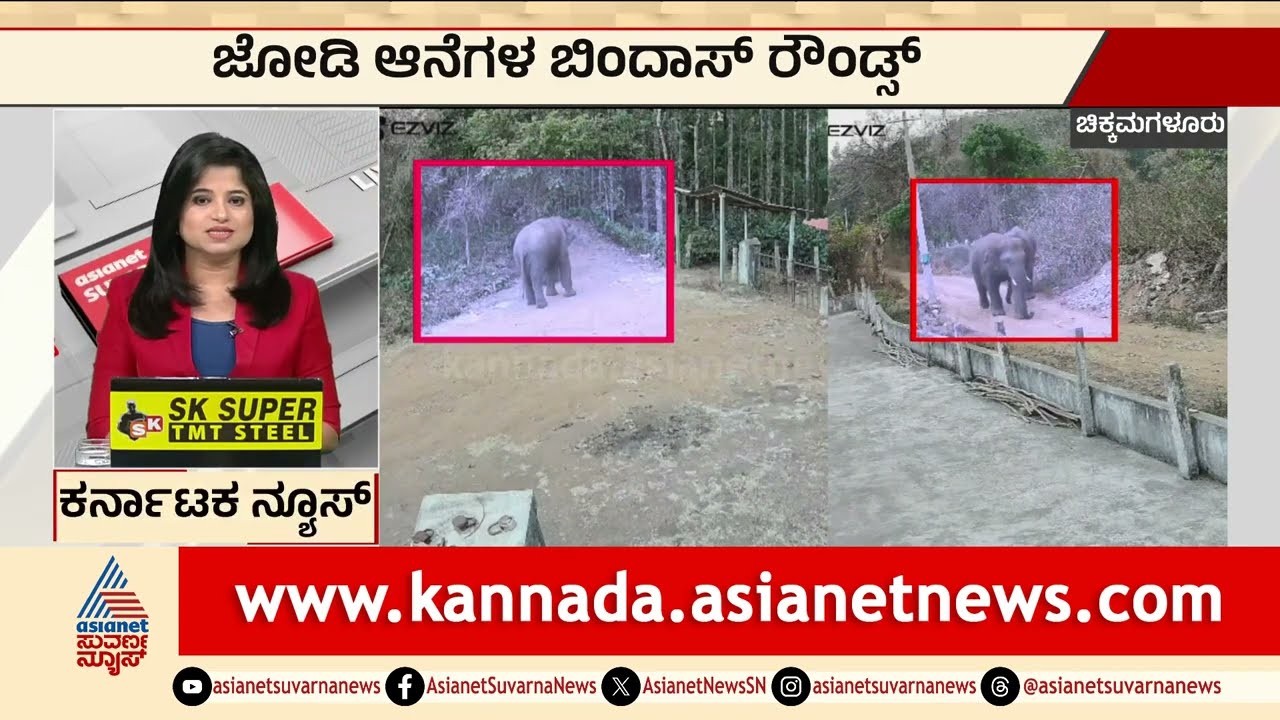 Chikkamagaluruನಲ್ಲಿ ಜೋಡಿ ಆನೆಗಳ ಬಿಂದಾಸ್ ಓಡಾಟ Chikkamagaluru wild elephant | Karnataka | Suvarna News