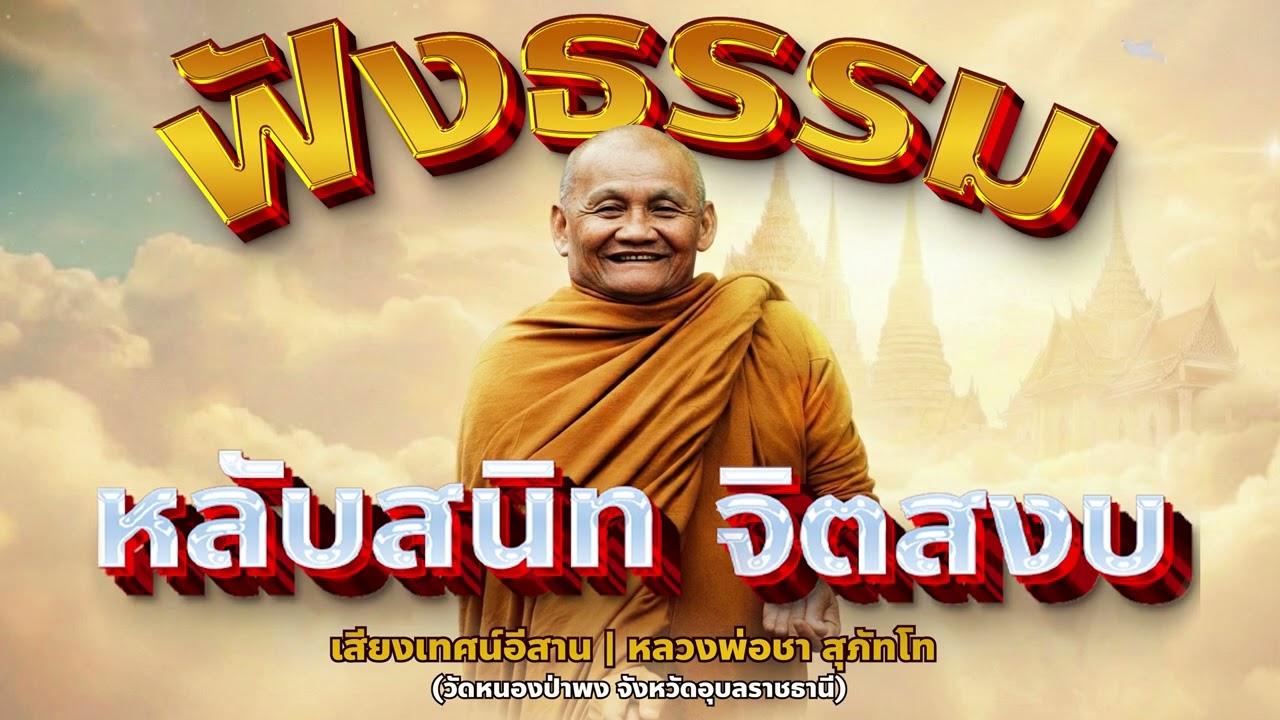 ฟังธรรมะก่อนนอนหลับสนิทจิตสงบปล่อยวางทุกสิ่ง  | หลวงพ่อชา สุภัทโท