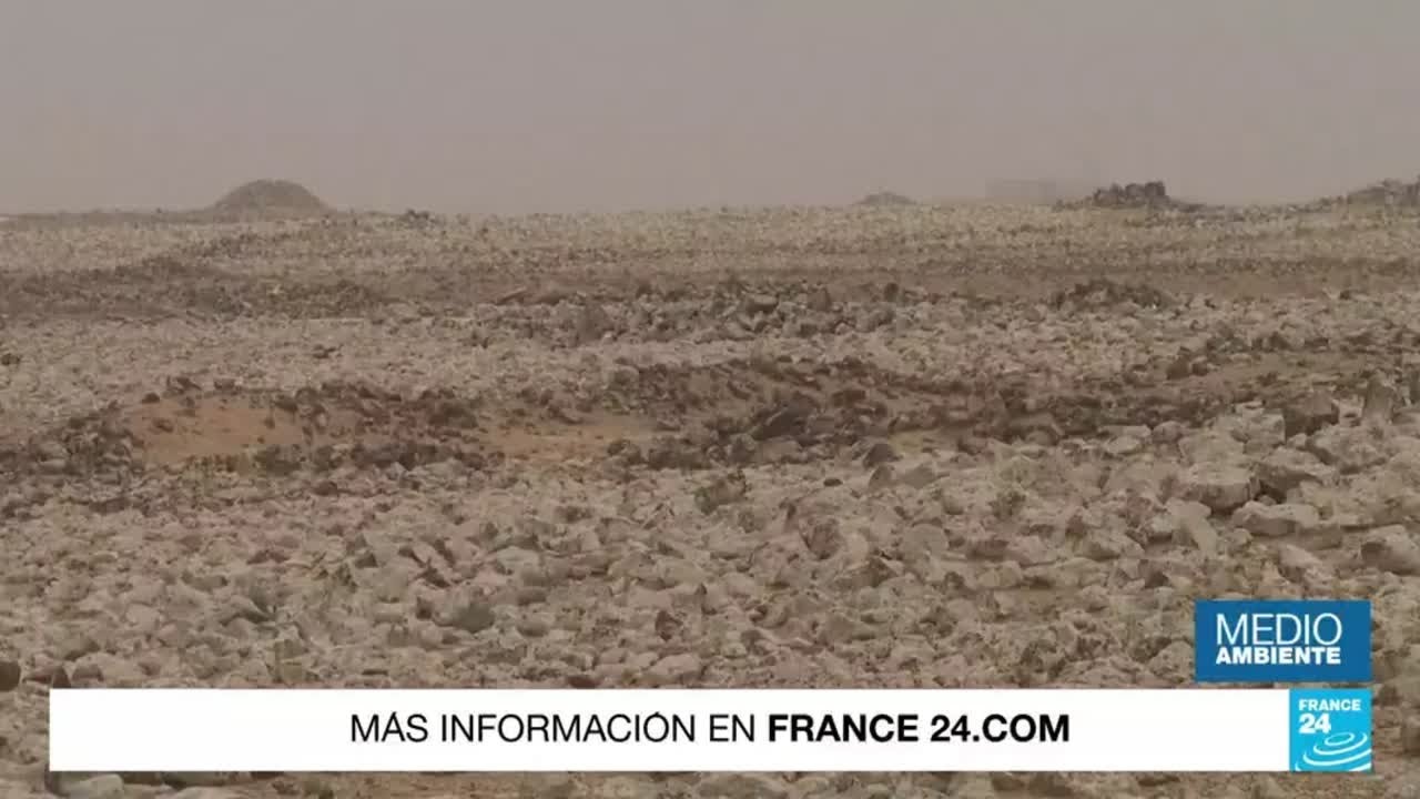 Crisis climática, desertificación y pérdida de biodiversidad: un reflejo de lo que padece el planeta