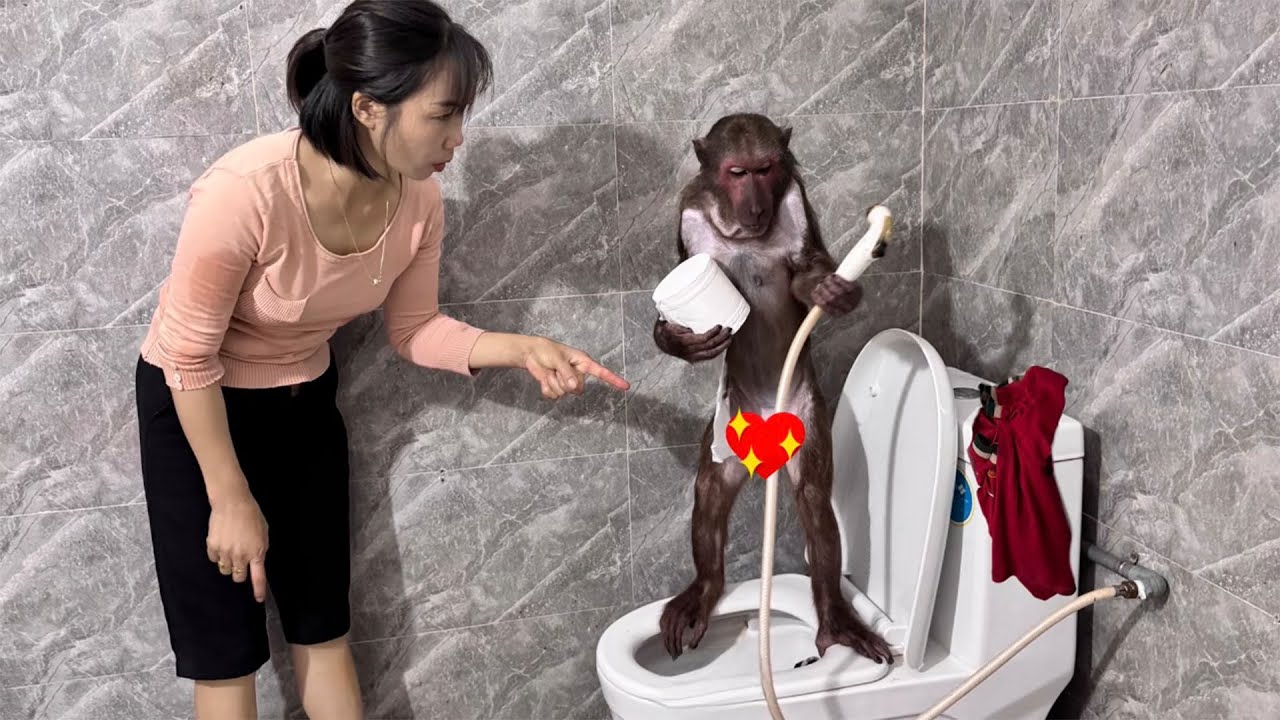 Abu Needs Mom Help When He Goes to the Bathroom