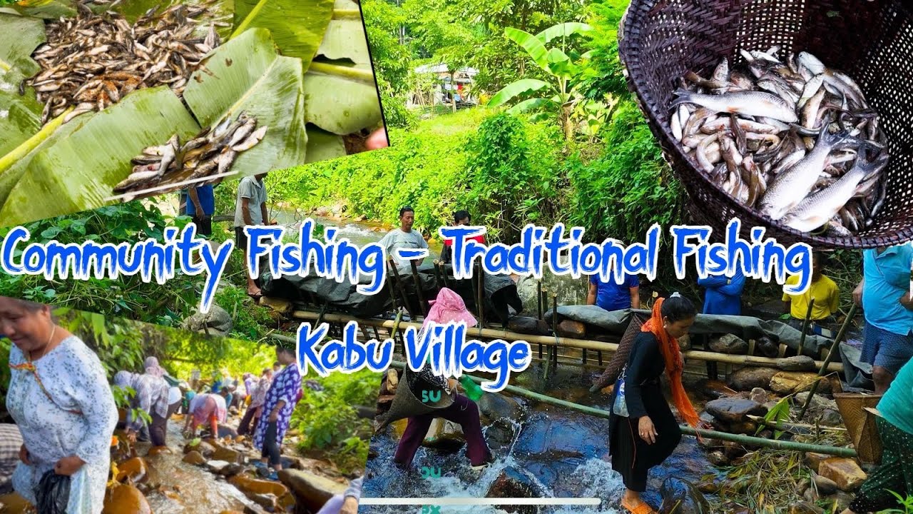 Community Fishing (Hibok Panam) | Galo Traditional Fishing, Kabu Village Aalo Arunachal Pradesh 