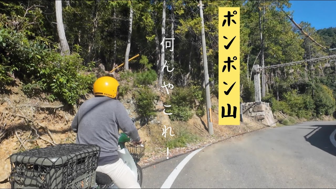 還暦夫婦のスーパーカブ50cc原付 ポンポン山登って観た！