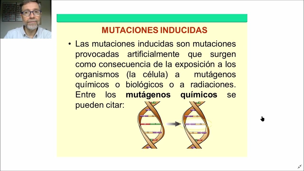 Mutaciones espontáneas e inducidas. Agentes mutagénicos V67