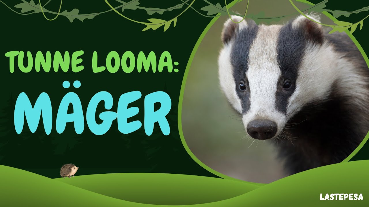Tunne looma:  M&Auml;GER
