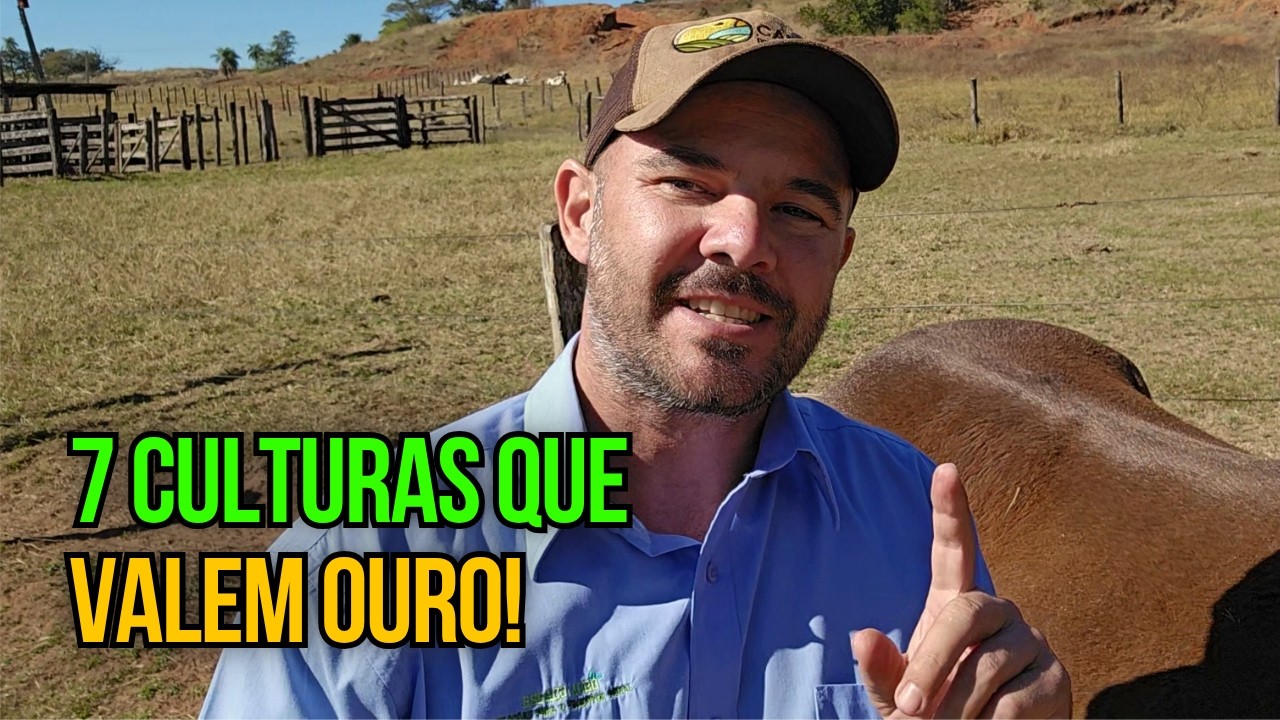 7 Culturas Mais Lucrativas do Agro em 2025 (Até Pequenas Áreas)