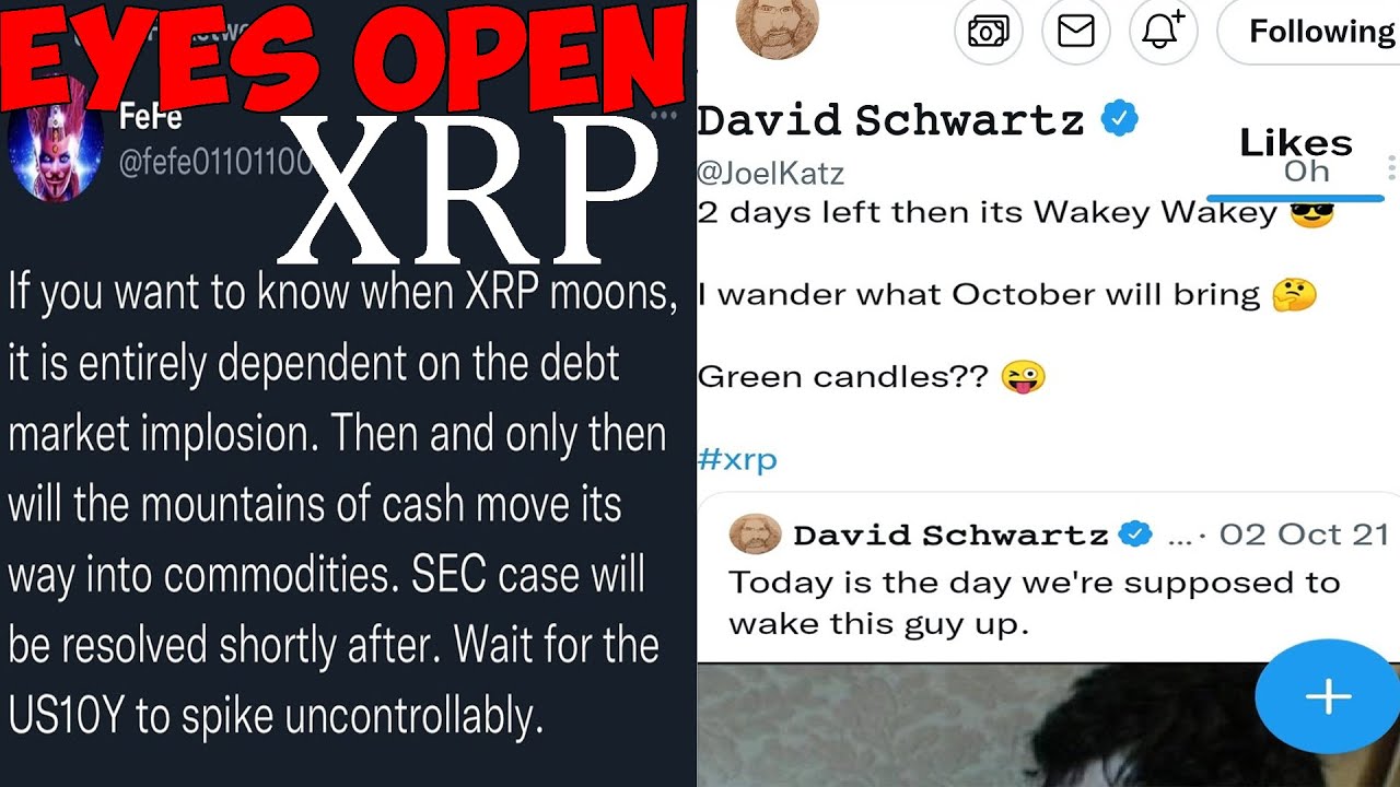 Ripple XRP DAVID SCHWARTZ JUST CONFIRMED OCTOBER I'M NOT GOING TO SLEEP!
