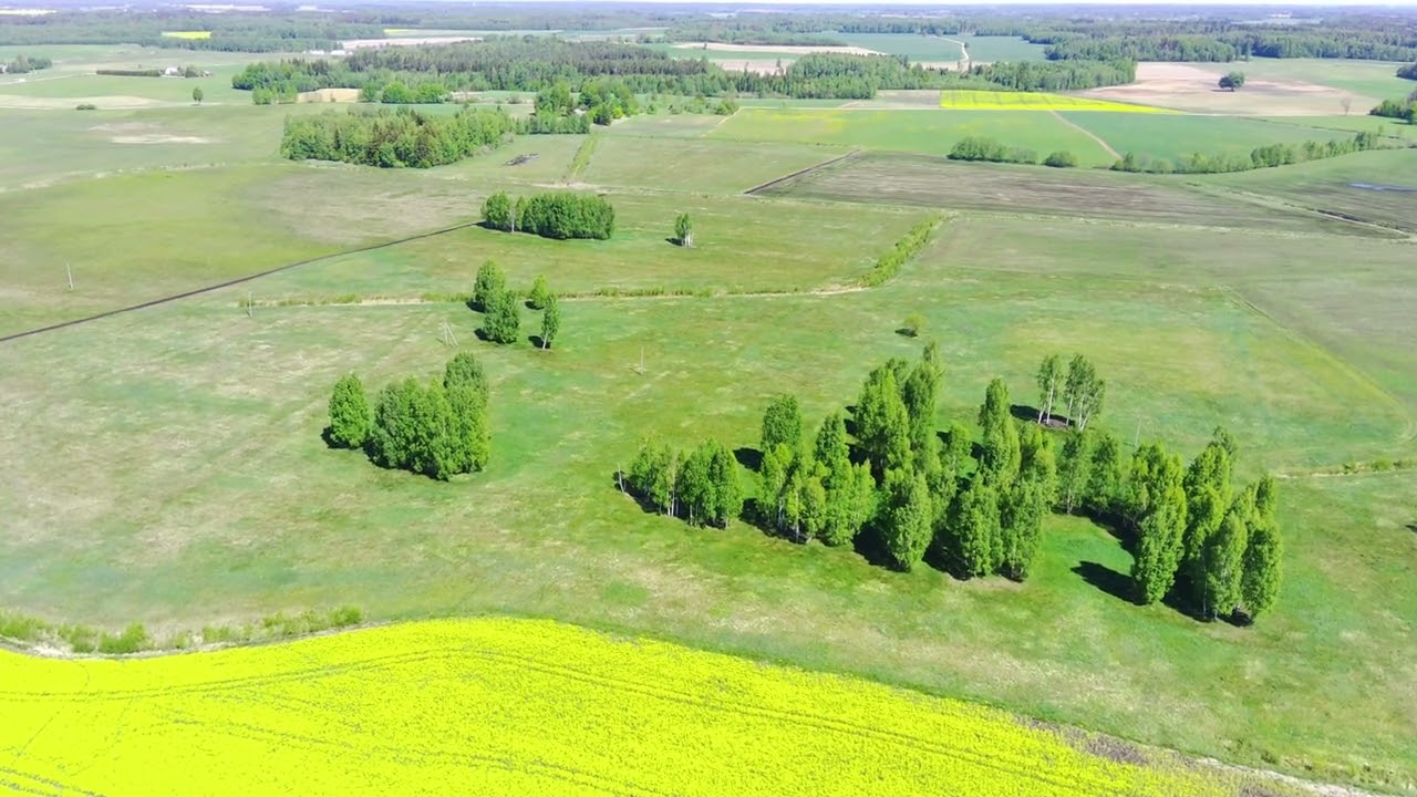 Ты хрупкая