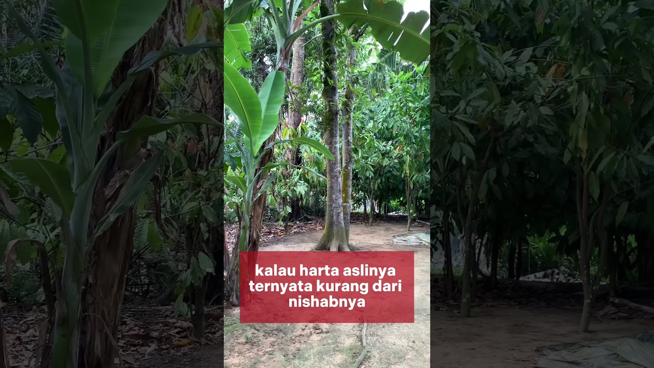 Bayar Zakat Sebelum Haul - Ustadz Muhammad Abu Rivai