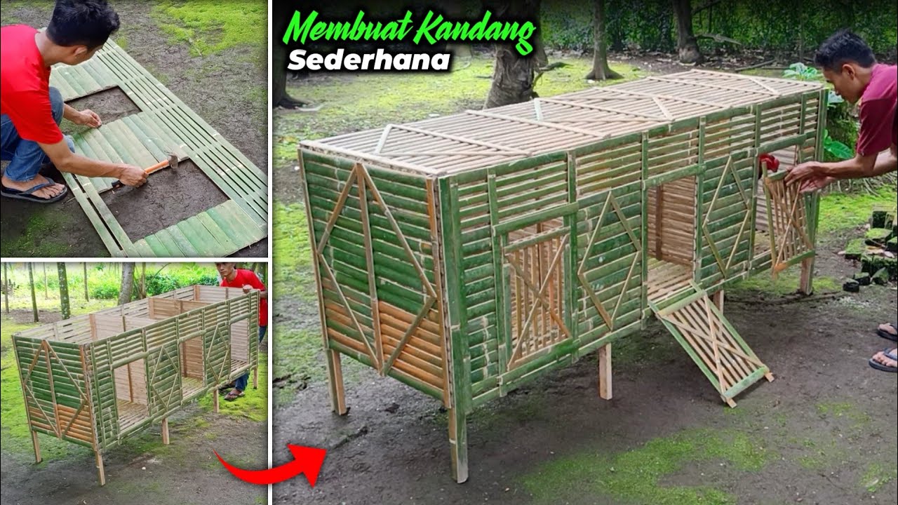 MEMBUAT KANDANG AYAM JAGO DARI BAMBU | kandang sederhana