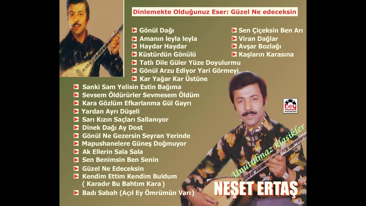 G&uuml;zel Ne Edeceksin Bu Kadar Malı -Neşet Ertaş 