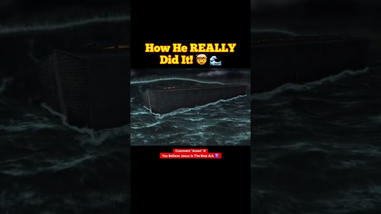 How Noah REALLY Survived The Flood! 🌈🤯 #shorts #youtube #oldtestament #bible #fypシ