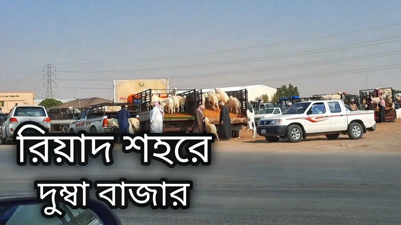 সৌদি আরব দেখতে কেমন | সৌদি আরবের শহর দেখতে চাই চলুন গুরে আসি | Saudi arabia Riyadh city | ZaberBD