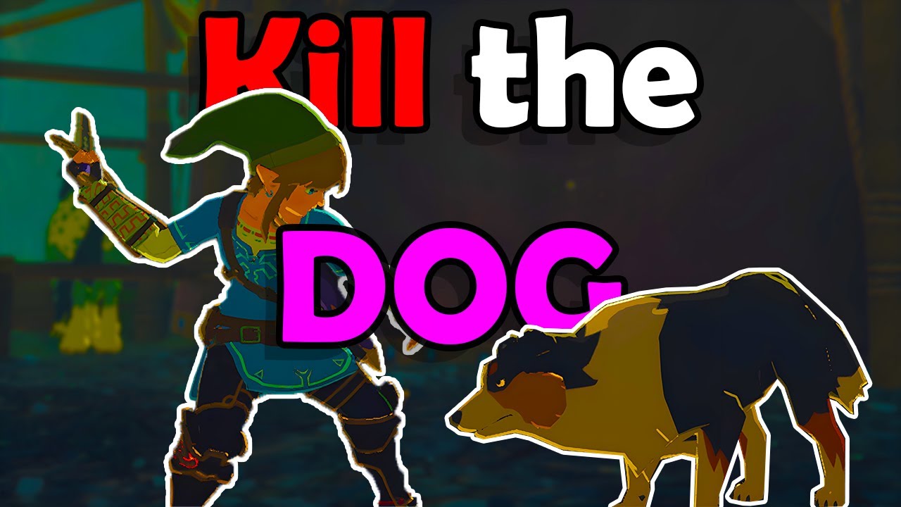 15 Things You Have NEVER Done in Breath of The Wild