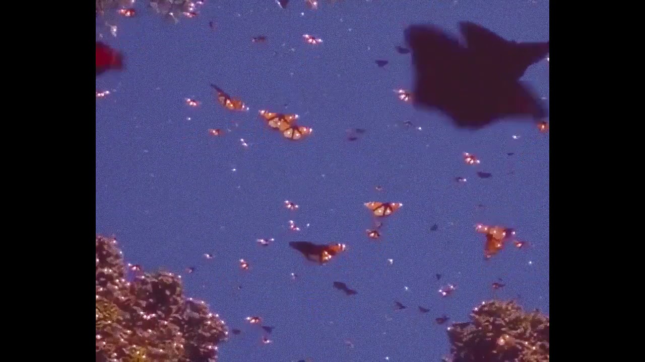 Chilla x Hatik - Demain (slowed + reverb)