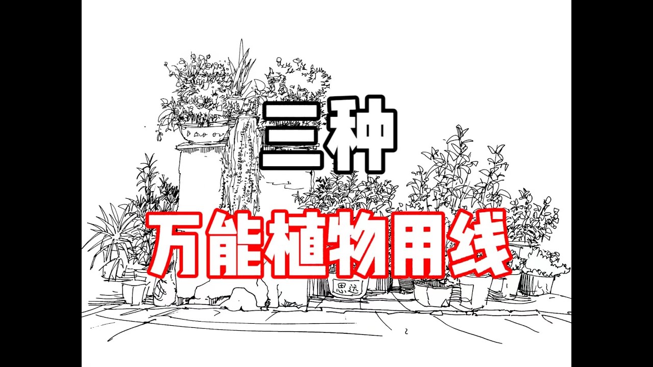 三种万能用线，画植物必备！钢笔速写教程