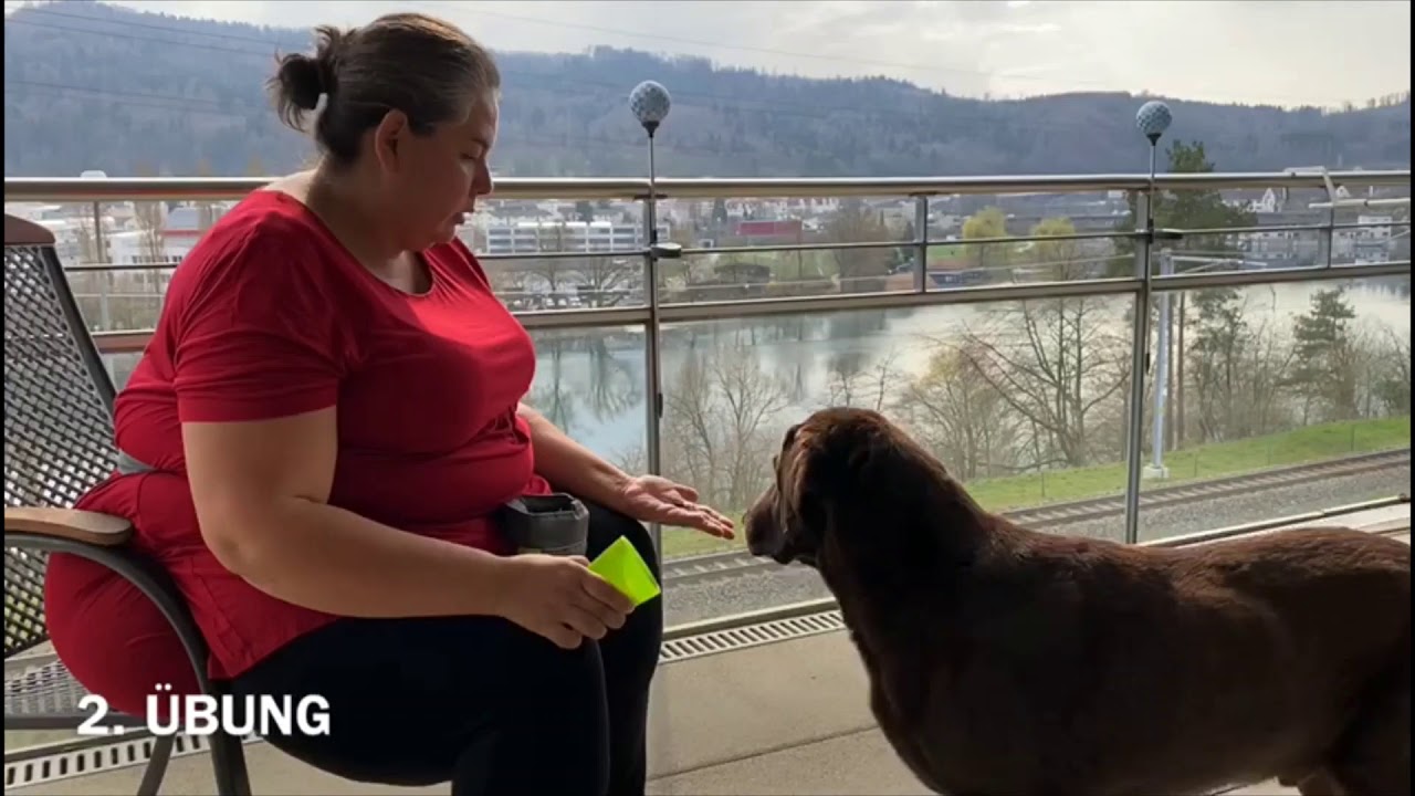 Hunde Nasenarbeit Aufbau Teebeutel Geruchsanzeige