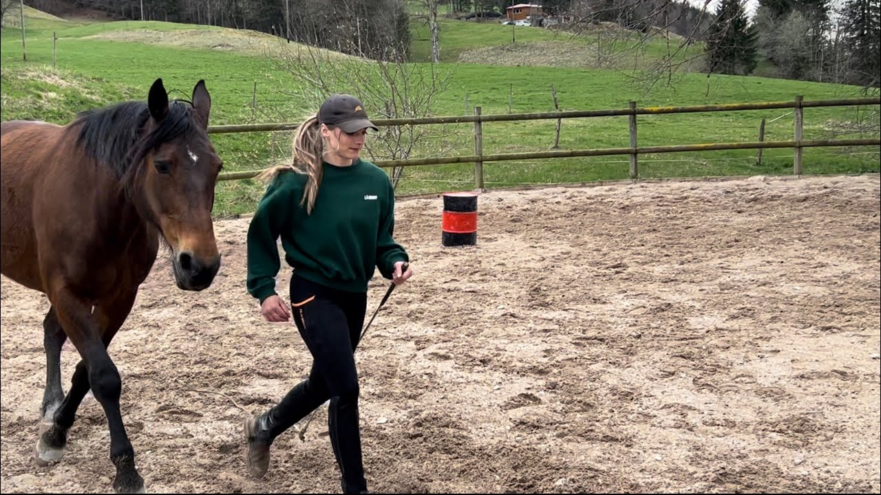 Chloé and Bergamote - Level 3 Liberty - Parelli Audition ​⁠- Passed 3 ++