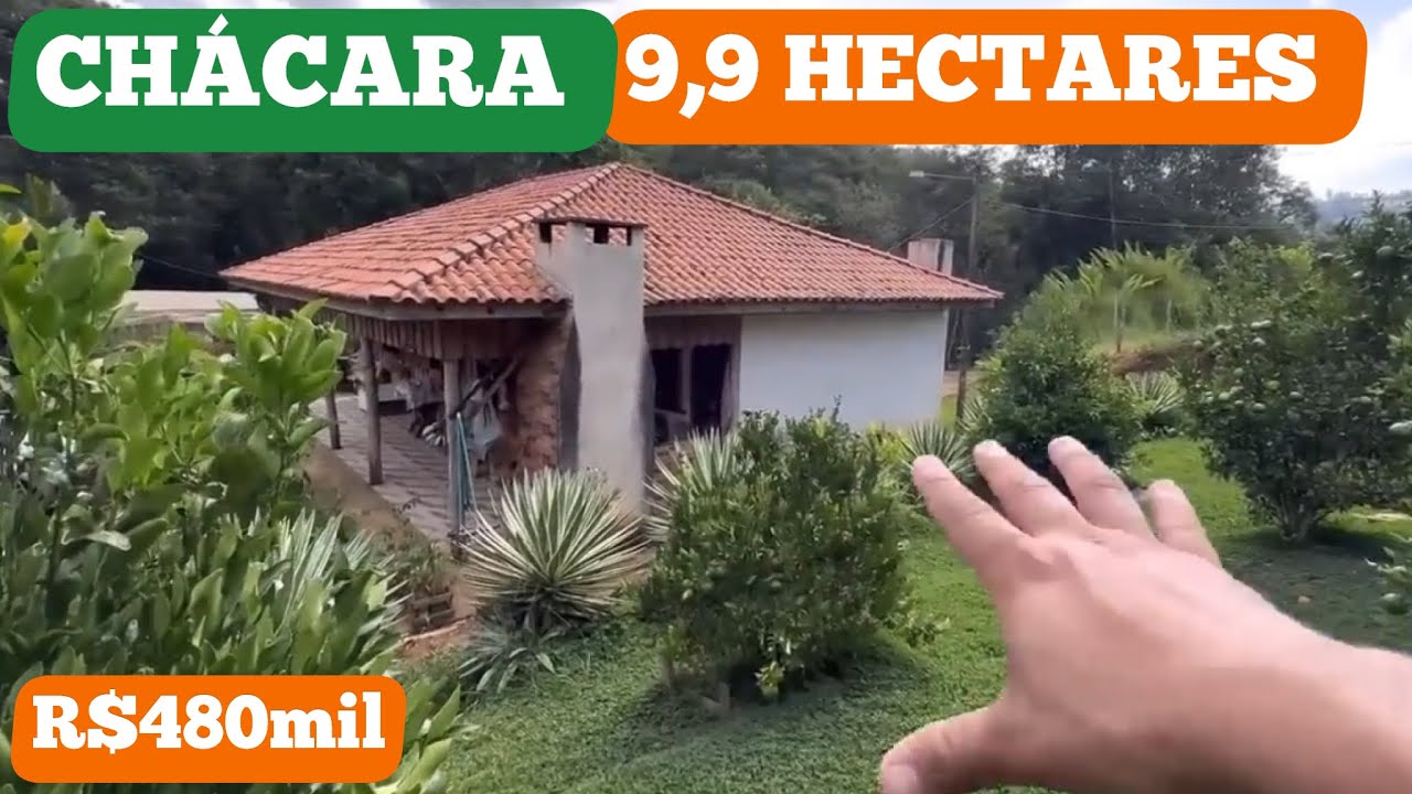 CHÁCARA LINDO RIBEIRÃO CASA GRANDE 9,9 HECTARES PASTO MANGUEIRÃO R$480mil