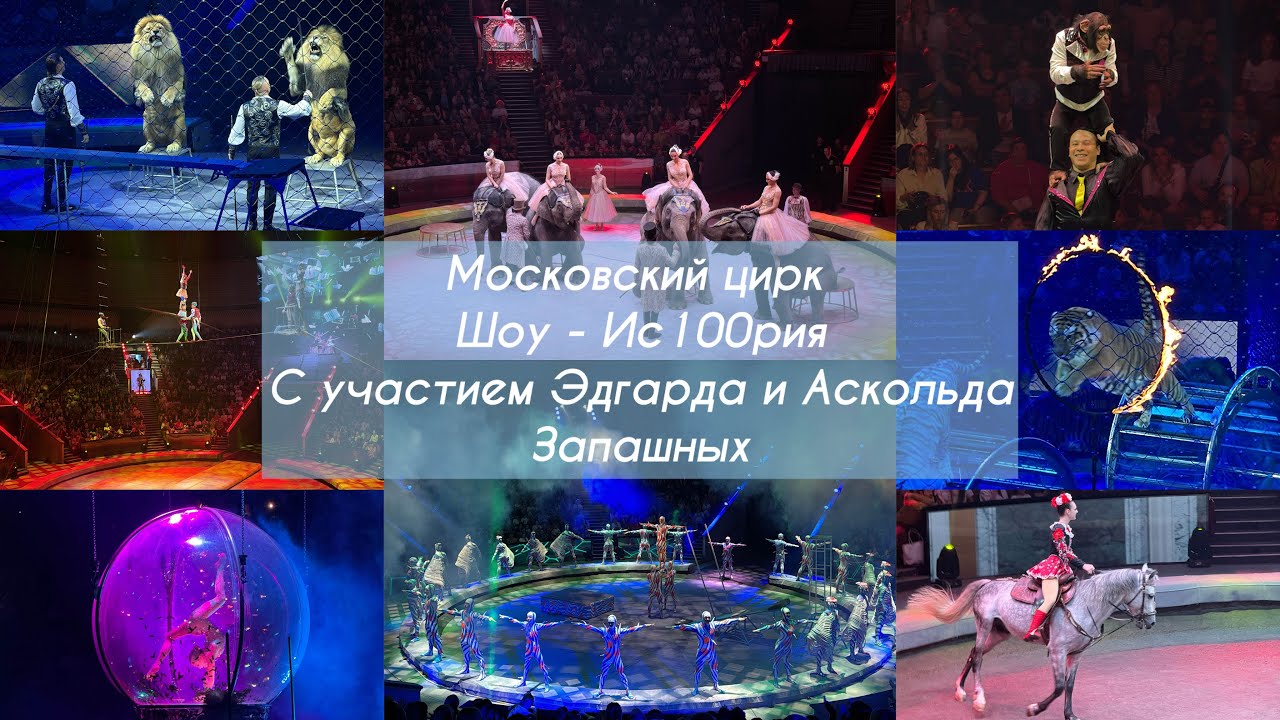Шикарное цирковое представление И100рия, Аскольда Запашного. Московский цирк на Вернадского.