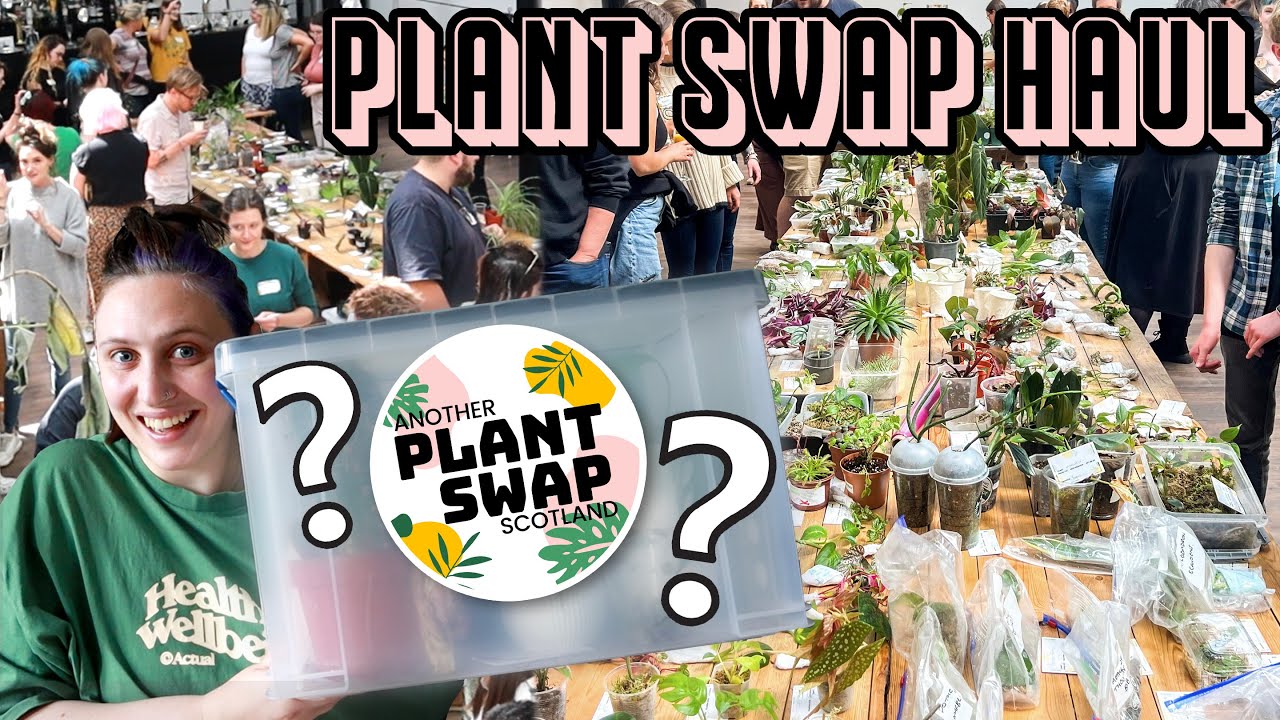 I went all the way to Edinburgh to swap these plants 🪴✨ Another Plant Swap Scotland