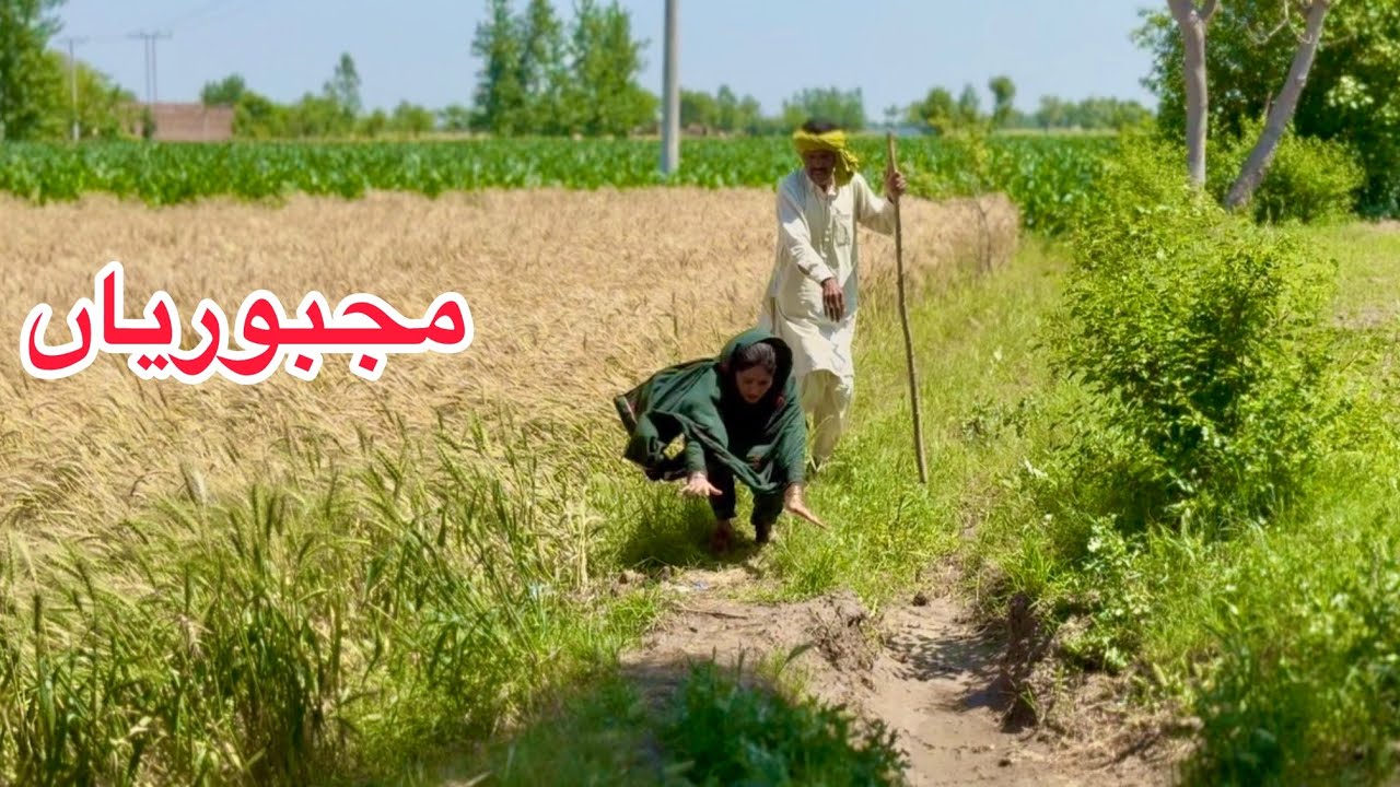 MAJBORIYAN/NEW PANJABI CULTURE DRAMA/AHMAD SHER OFFICIAL TEAM/NEW 2026