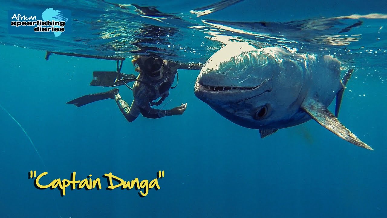 Spearfishing Latham Island - ASD 