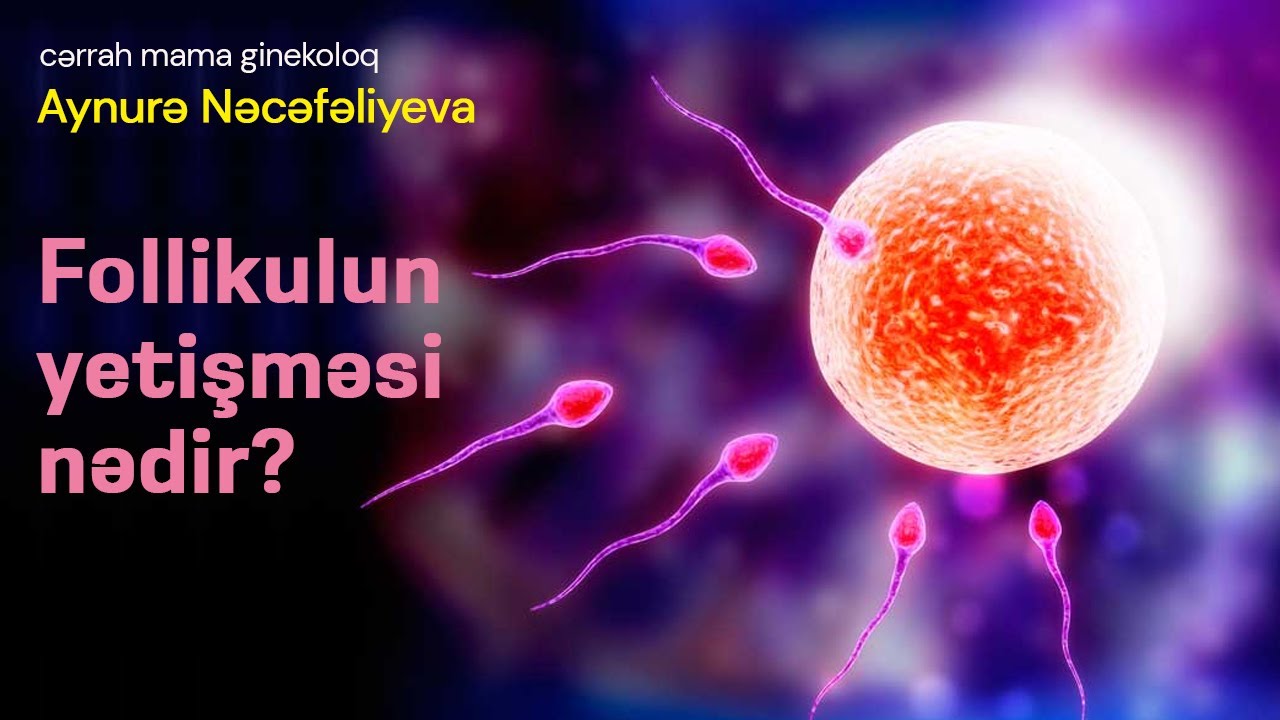 Follikulun yetişməsi -  Stimulyasiya prosesi nədir? - Ginekoloq Aynurə Nəcəfəliyeva  #trending