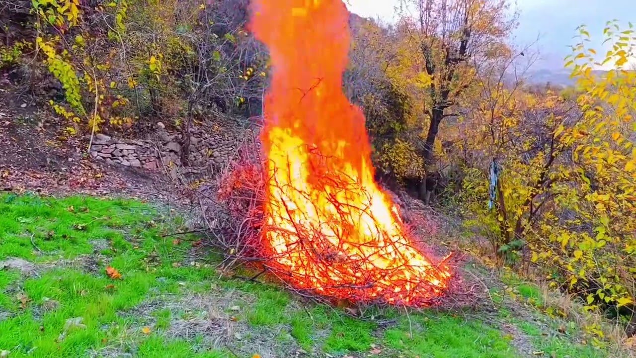 beğendik köyü bedar