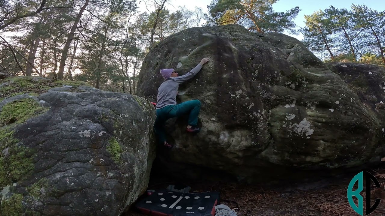 L'Arcadia (7B)
