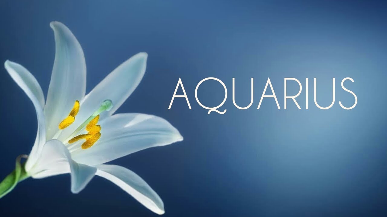 AQUARIUS ♒ | Don't Worry You will be with your PERSON | June 2019