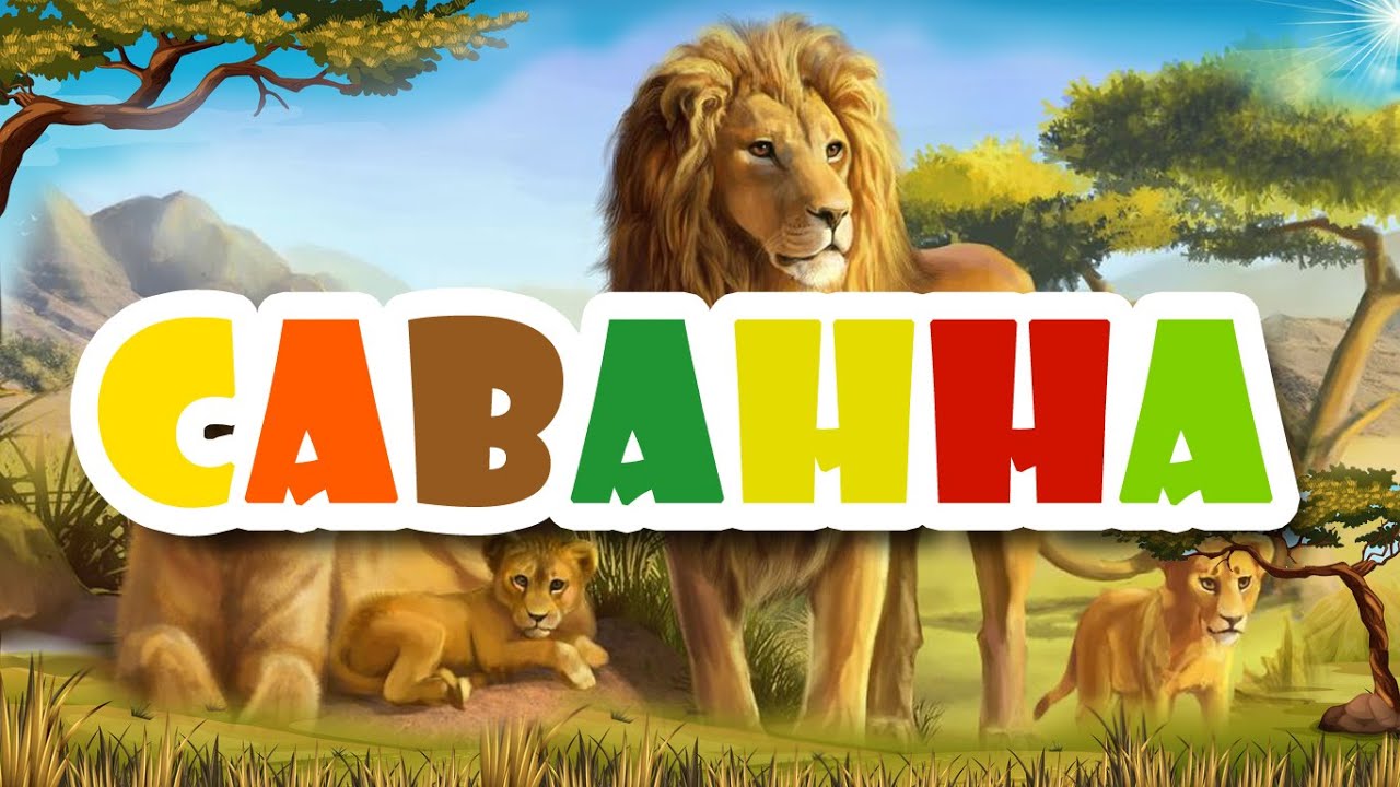 САВАННА ДЛЯ ДЕТЕЙ 🐘🦒🦁