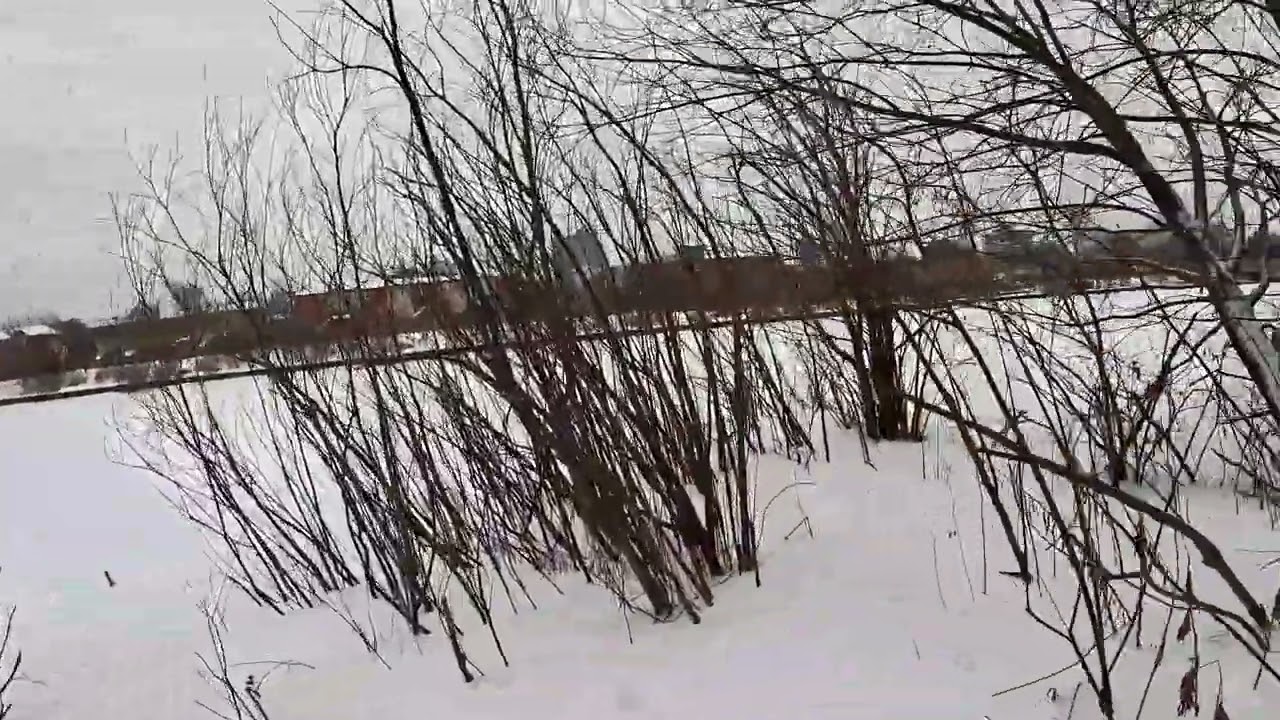 Winter nature relaxation  ,  River saint-charles 