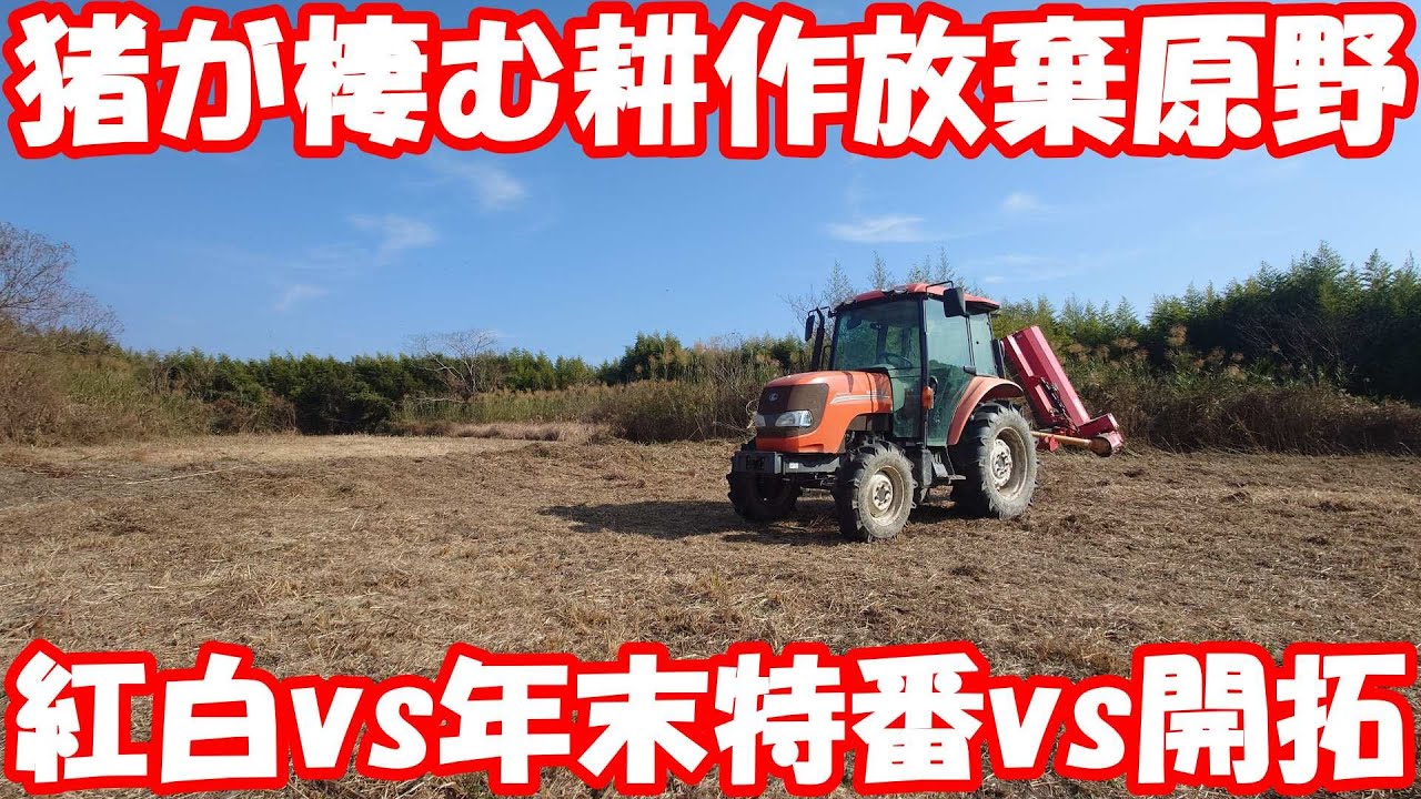 年末年始は耕作放棄地開拓で家族団らん。#mower #草刈り 