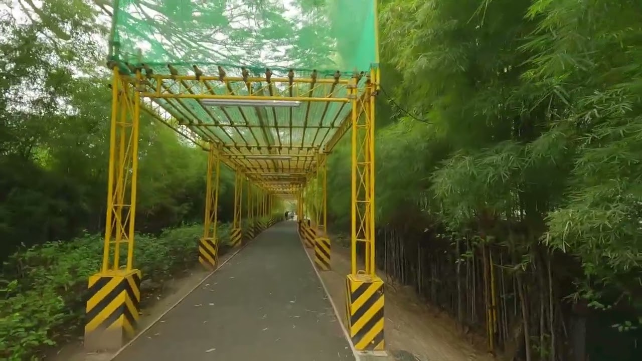 CALM WALK in the BGC GREENWAY | Philippines Walking Tour