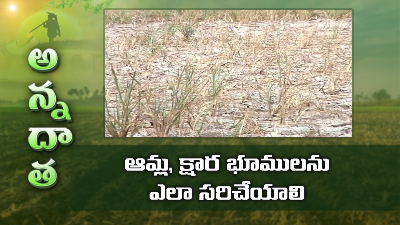 How to Correct PH of Acidic & Alkaline Soils