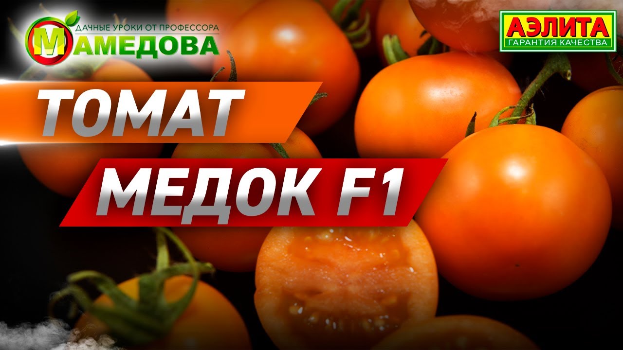 Выращивание Томатов. Гибрид Медок F1