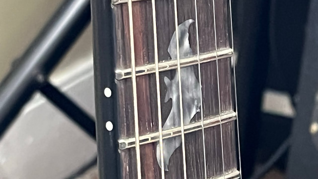 Schecter Damien 6 FR