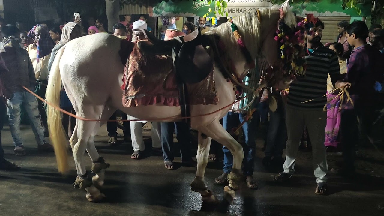 #Nuzvid #dasara #Buttabommalu Every year celebrations in Nuzvid|| Butta Bommalu||