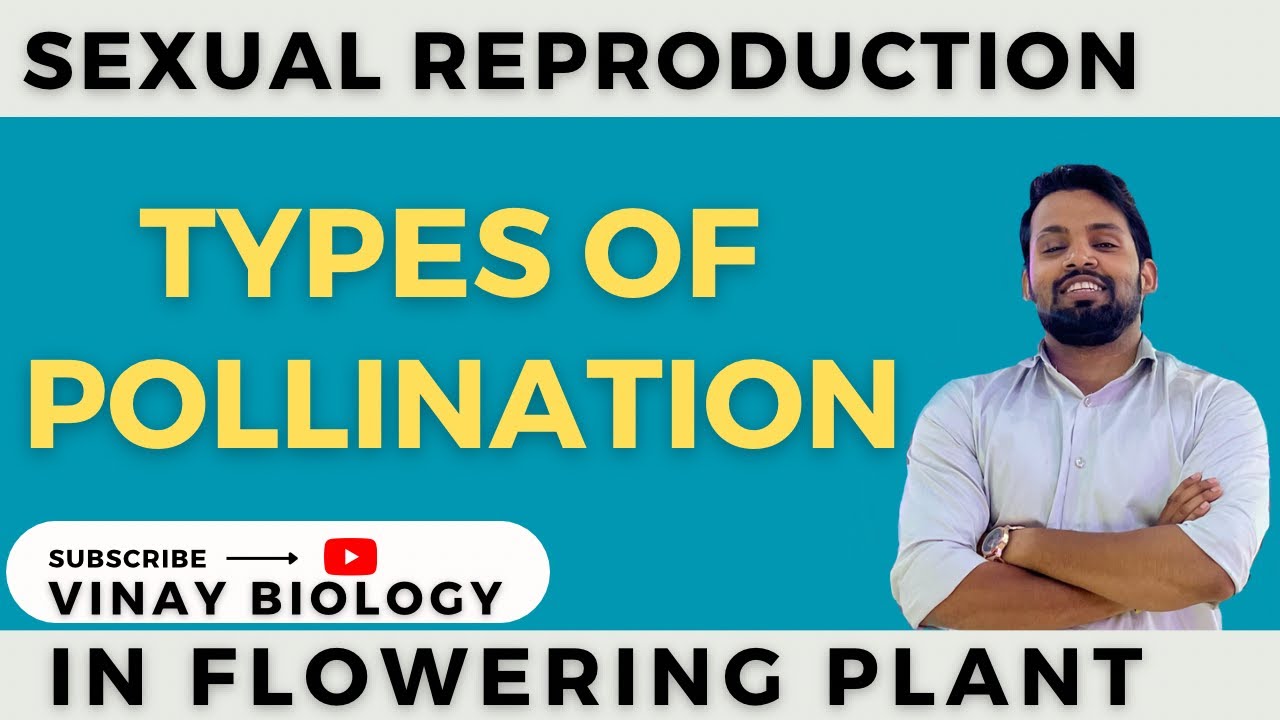 Types of pollination | Autogamy & geitnogamy & Xenogamy