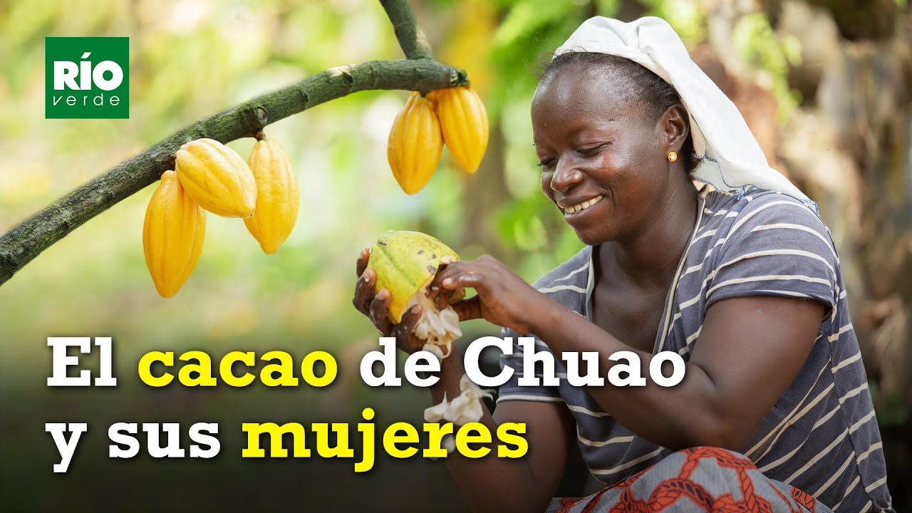 Las mujeres cacao
