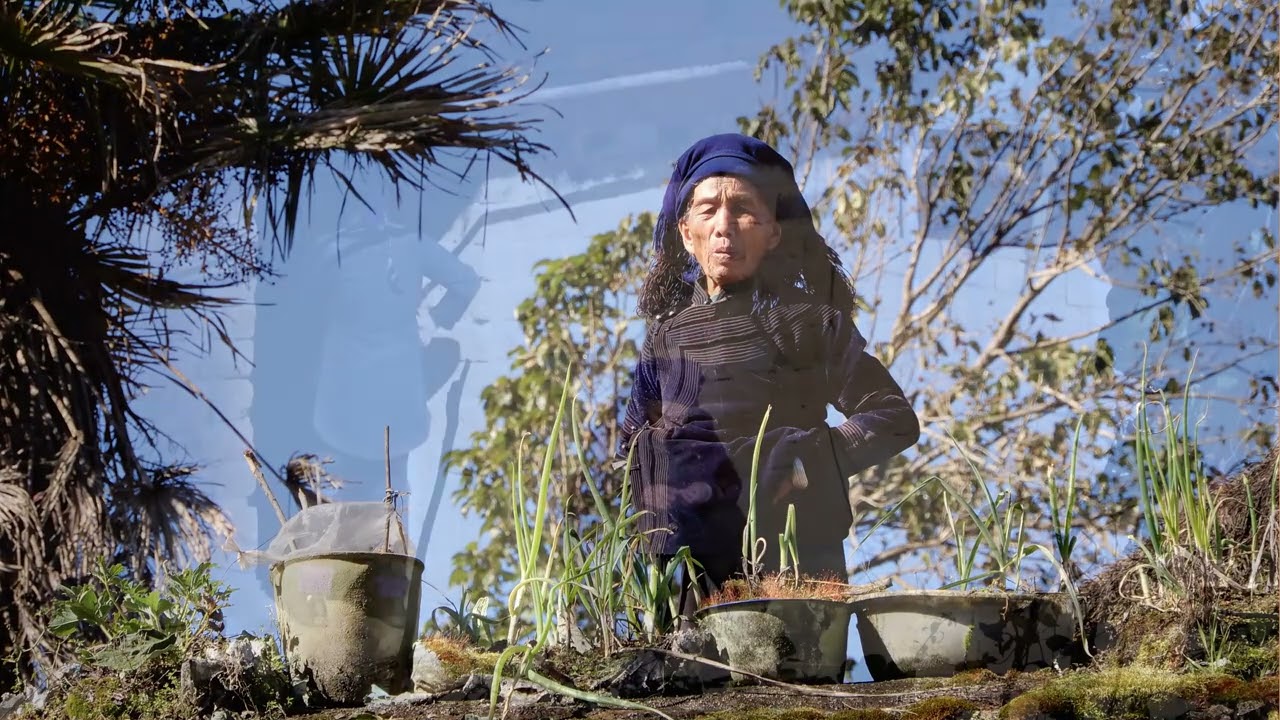 CHINE 2025 : le village d' AZHEKE et ses rizières, sud-Yunnan